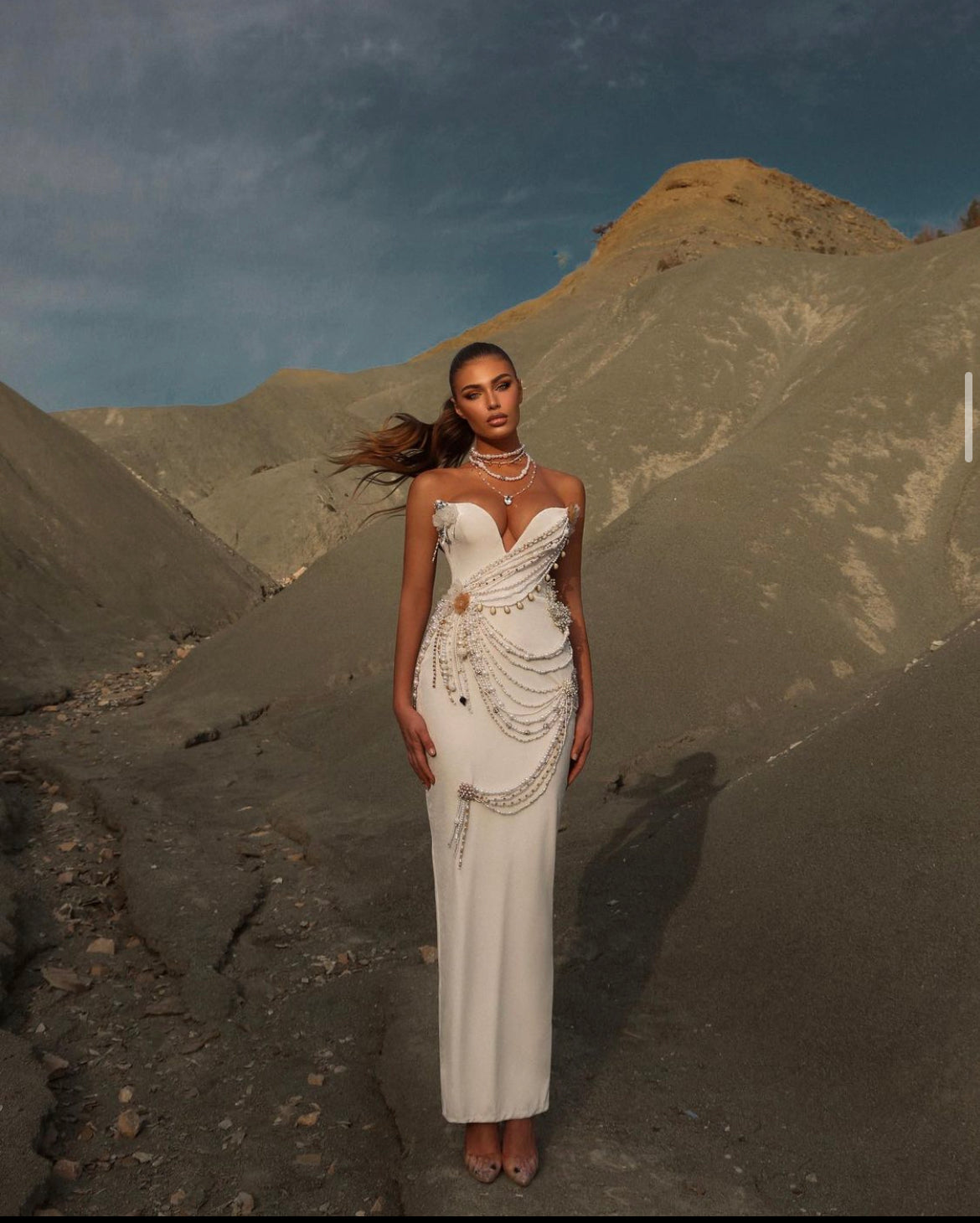 The Ariana Dress